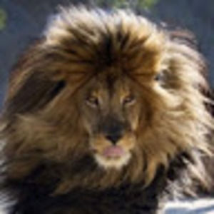 Meet your Posher, Shaun